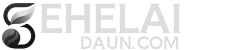 Sehelai Daun